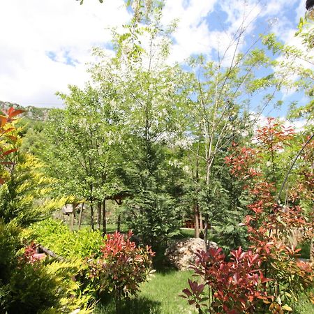 Lugina E Shengjergjit ,Bujtinat Vila Tirana Exterior foto