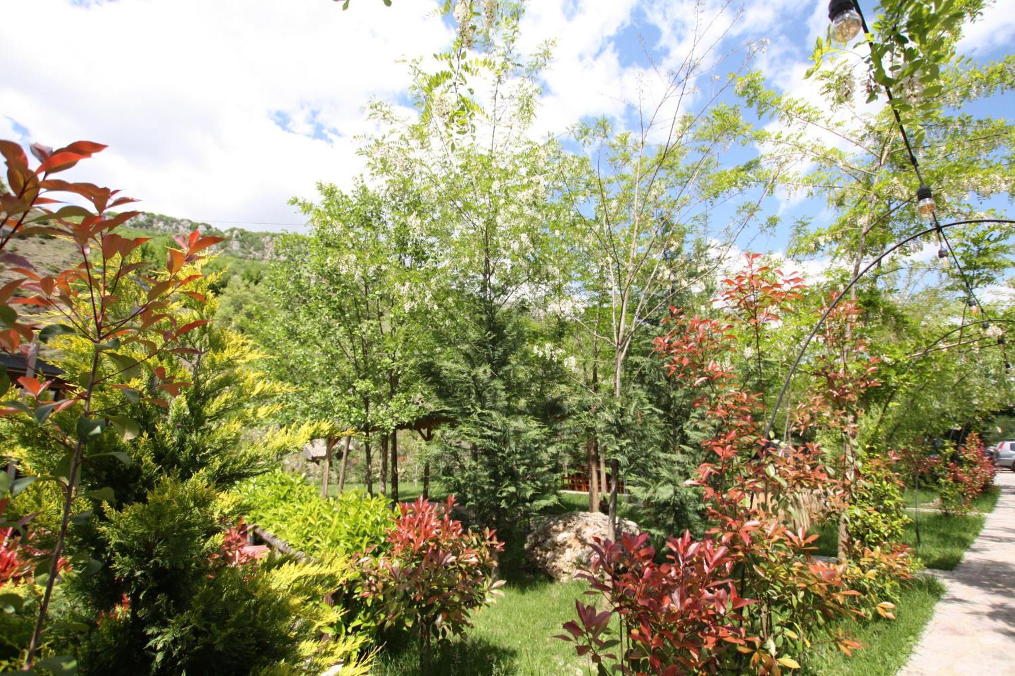 Lugina E Shengjergjit ,Bujtinat Vila Tirana Exterior foto